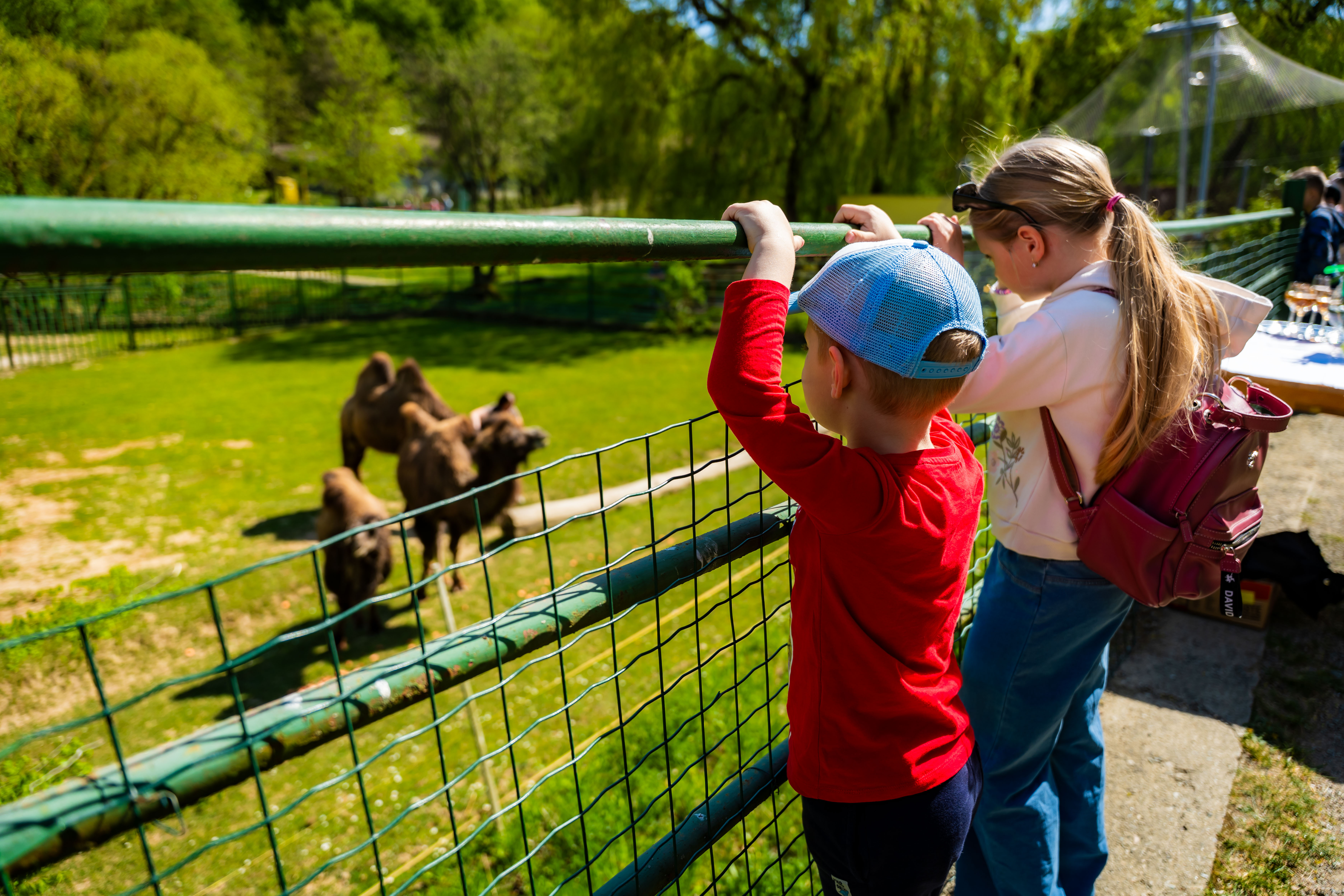 Den Zeme v Kosickej ZOO-1-14